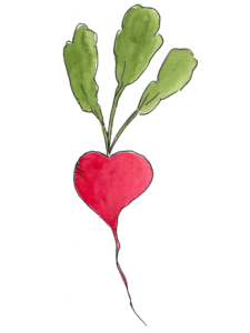 Radieschenbund Foodcoop Radieschenbund